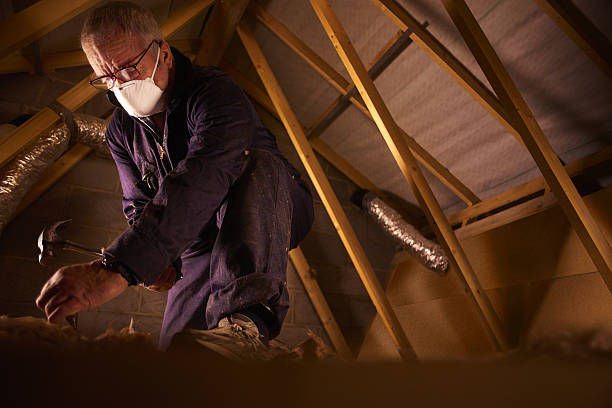 Best Insulation Maintenance and Repair in Kennedy, CA
